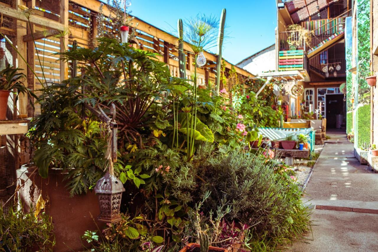 Hostal Valle Mistral La Serena Zewnętrze zdjęcie