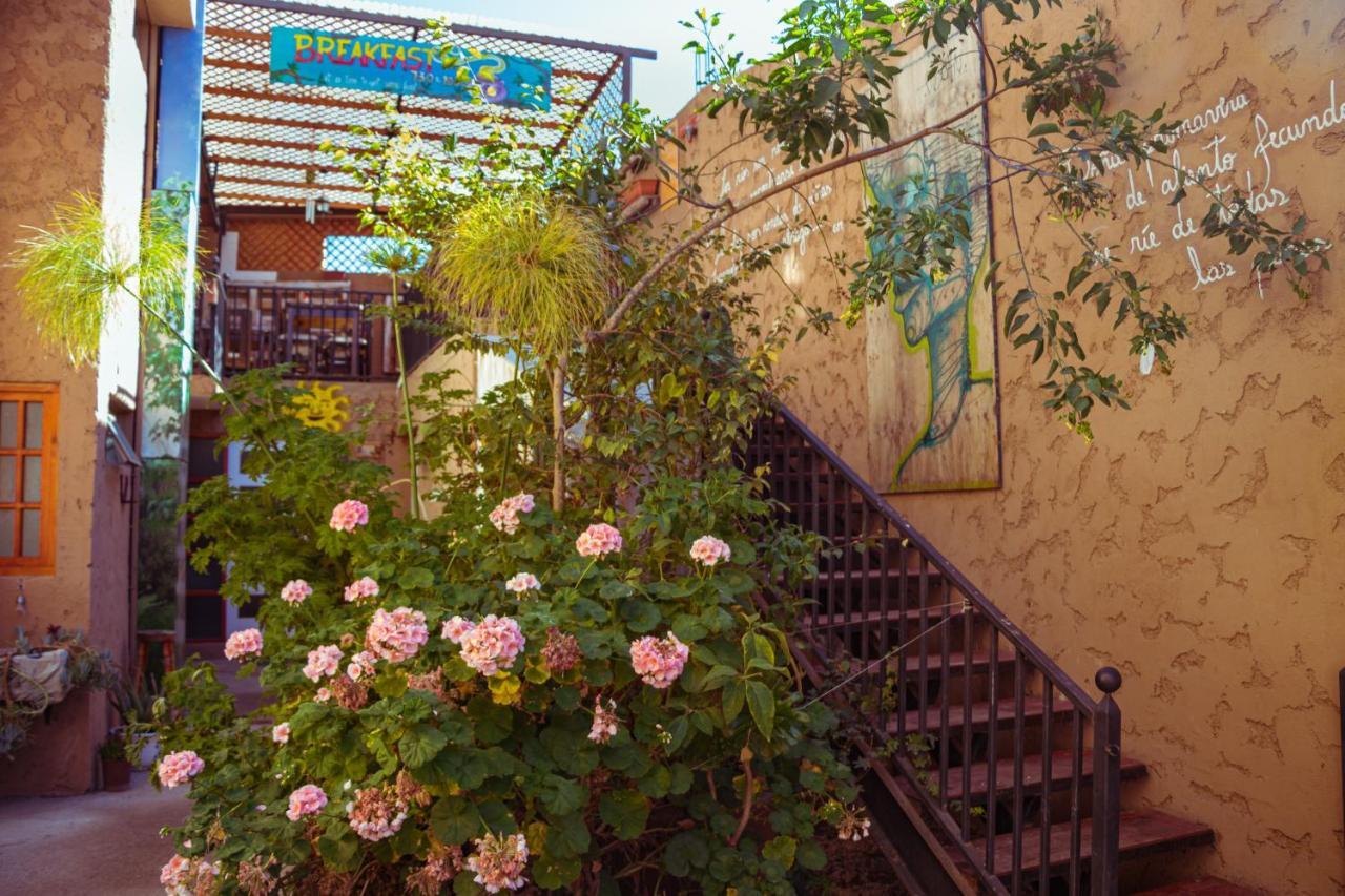 Hostal Valle Mistral La Serena Zewnętrze zdjęcie